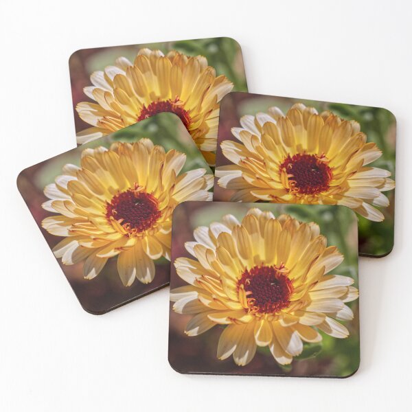 Item preview, Calendula Officinalis - Marigold - English Gardens designed and sold by LucaRocchini.