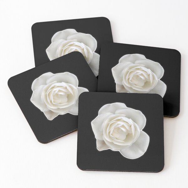 Item preview, White rose flower designed and sold by DilipSingh.