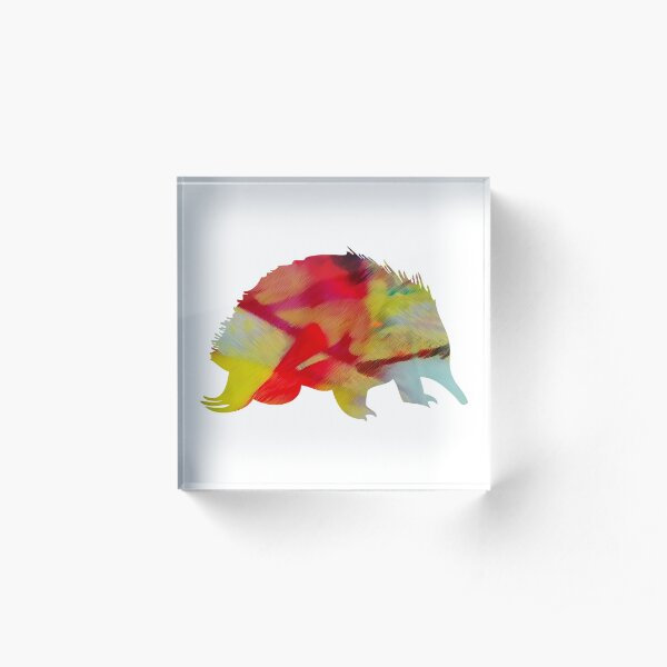 Echidna Acrylic Block