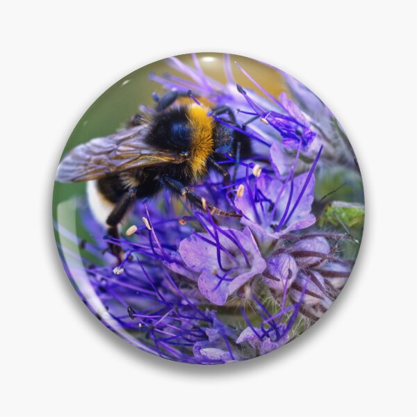 Artikelvorschau, Biene bestäubt Phacelia Tanacetifolia – Spitzenphacelia – Englische Gärten entworfen und verkauft von LucaRocchini.
