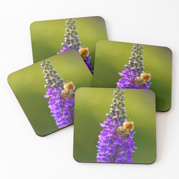Item preview, Common Carder Bee on Purple Loosestrife Flower designed and sold by Umdash919.