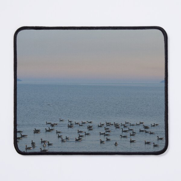 Item preview, Loch Ryan. designed and sold by Howard Boyd.