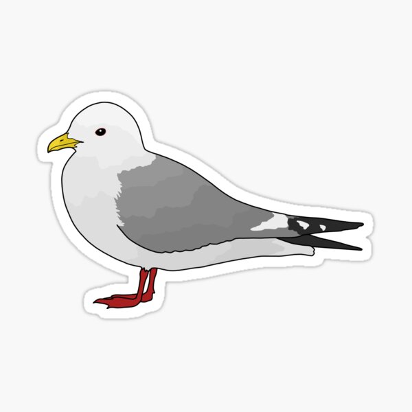 Item preview, Red-Legged Kittiwake designed and sold by taylorrowan.