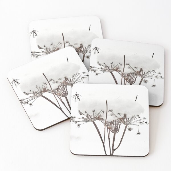 Item preview, Somthing stays. Cow parsley designed and sold by Jouko Lehto Photography.