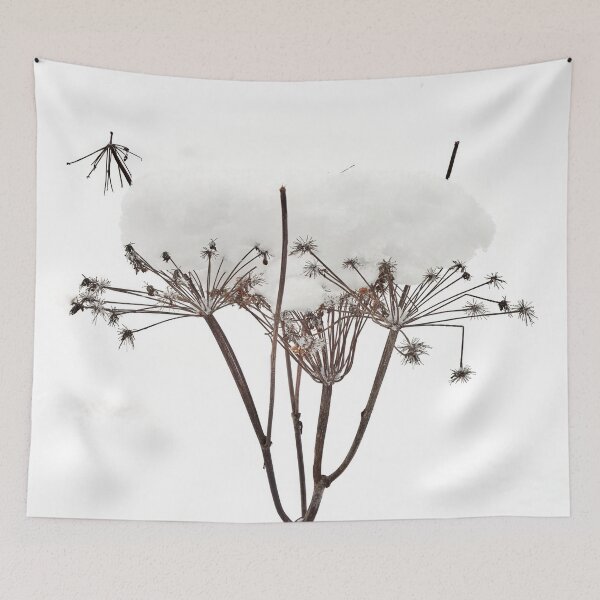 Item preview, Somthing stays. Cow parsley designed and sold by Jouko Lehto Photography.
