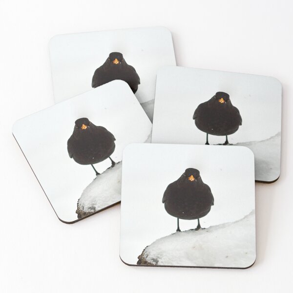 Item preview, The Spot of orange. Eurasian blackbird designed and sold by Jouko Lehto Photography.
