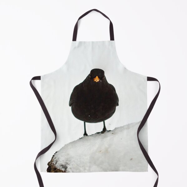 Item preview, The Spot of orange. Eurasian blackbird designed and sold by Jouko Lehto Photography.