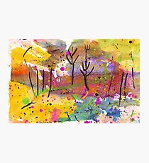 Midnight Garden cycle14 12 Photographic Print