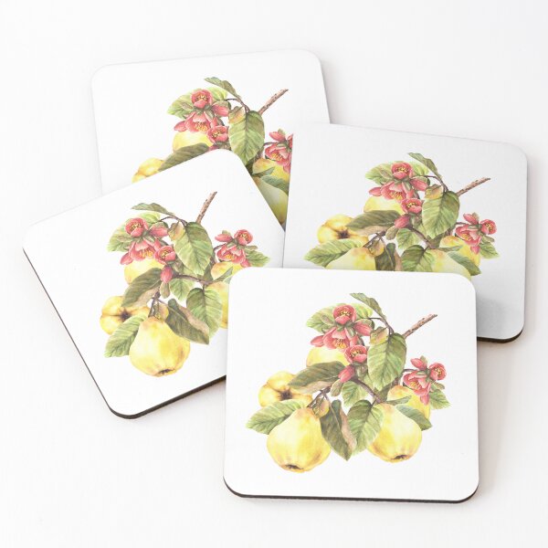 Item preview, Watercolor hand drawn branch of quince fruits with flower and leaves. Сlip art sticker designed and sold by BartolArt.