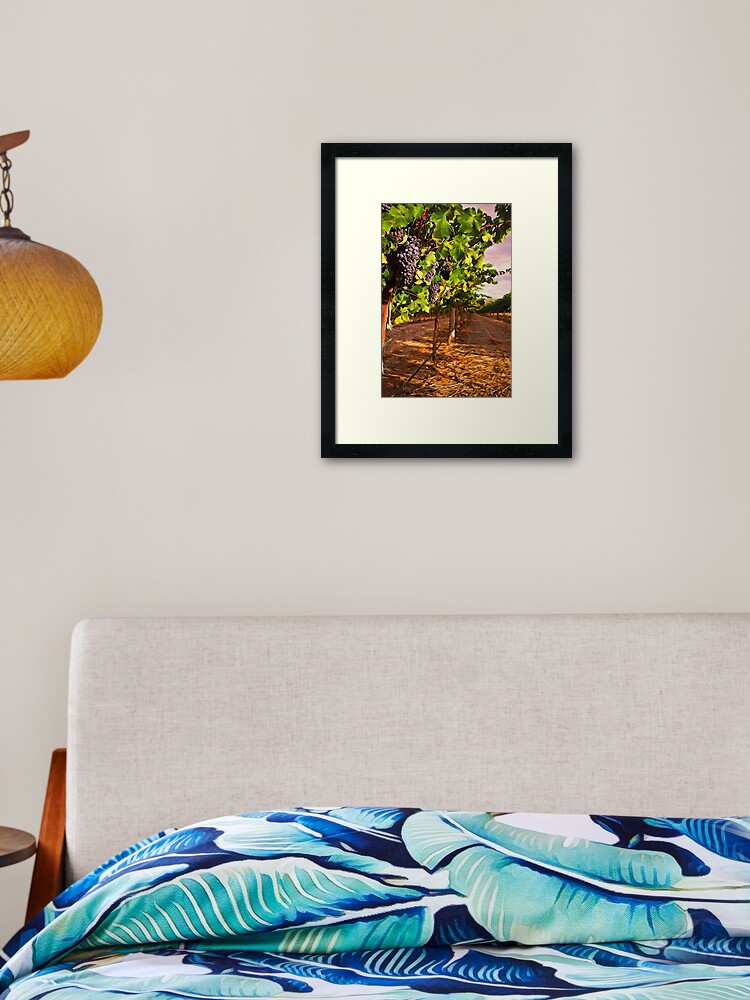 Tuscany Vineyards Framed Art Print By Erianandre Redbubble