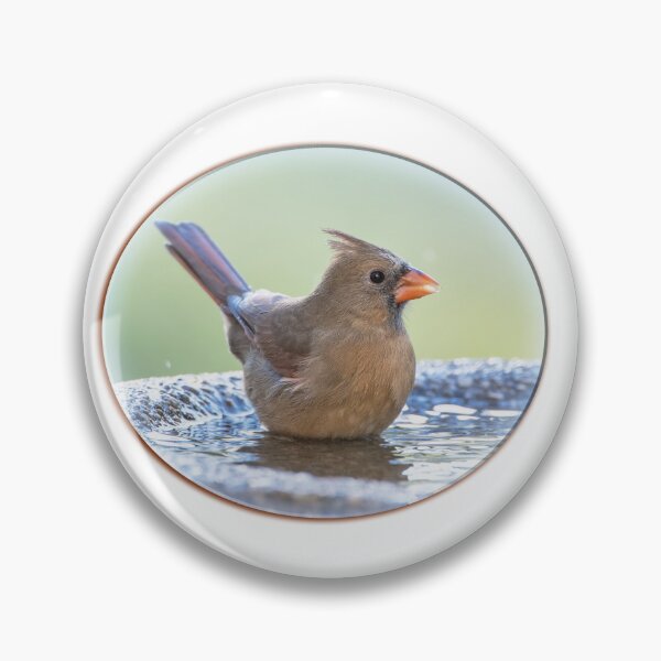 Item preview, Female Northern Cardinal in Birdbath designed and sold by Bonnie T. Barry.