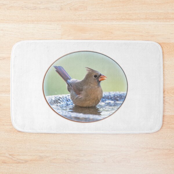Item preview, Female Northern Cardinal in Birdbath designed and sold by Bonnie T. Barry.
