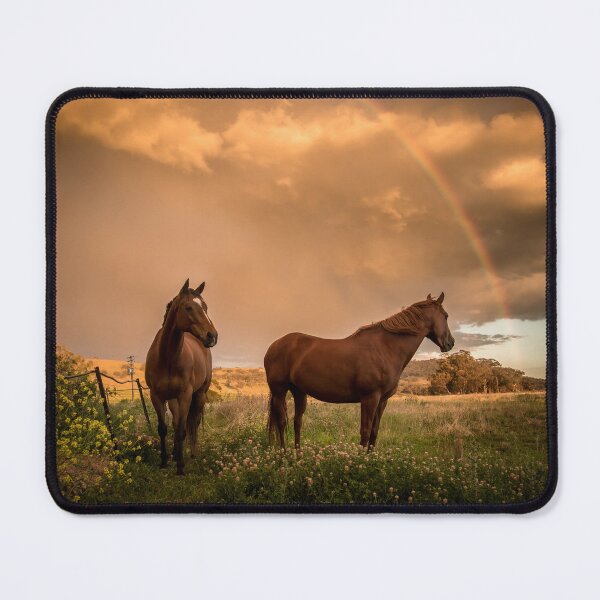 Item preview, Storm watchers designed and sold by Candice O'Neill.