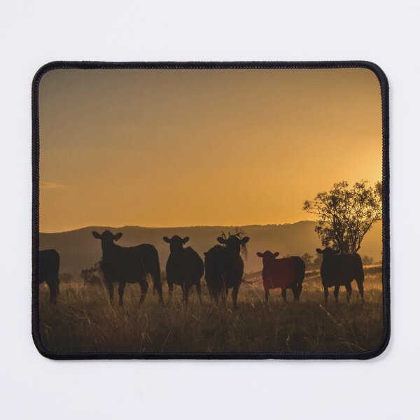Item preview, Sunset Heifers designed and sold by Candice O'Neill.