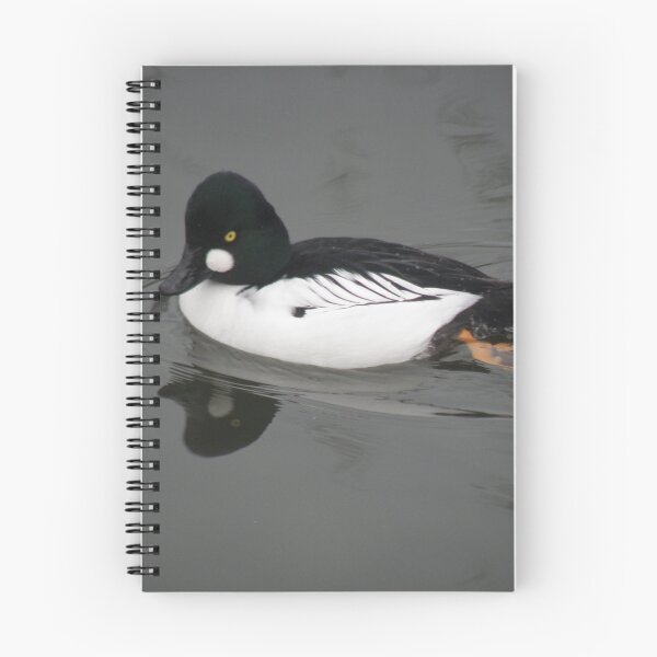 Item preview, Common Goldeneye Duck Reflection on Water Photograph designed and sold by naturegallery.