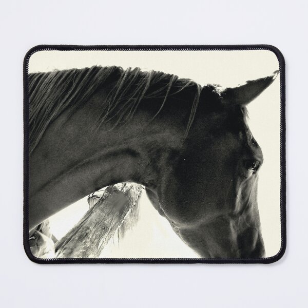 Item preview, Miss Inquisitive designed and sold by Candice O'Neill.