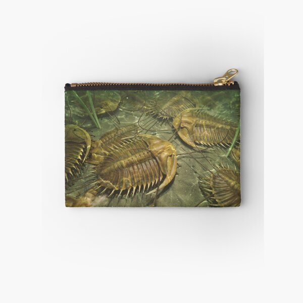 Item preview, Trilobites designed and sold by Christopher Bretz.