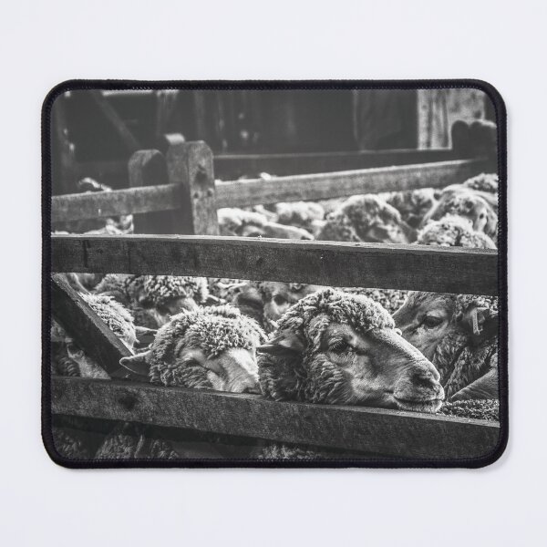 Item preview, Brindley Ewes designed and sold by Candice O'Neill.
