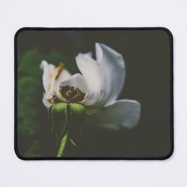 Item preview, Age before Beauty designed and sold by Candice O'Neill.