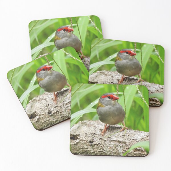 Item preview, Red Browed Finch  designed and sold by Mark Grimsley.