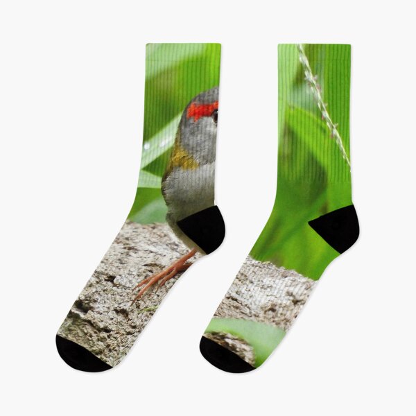 Item preview, Red Browed Finch  designed and sold by Mark Grimsley.