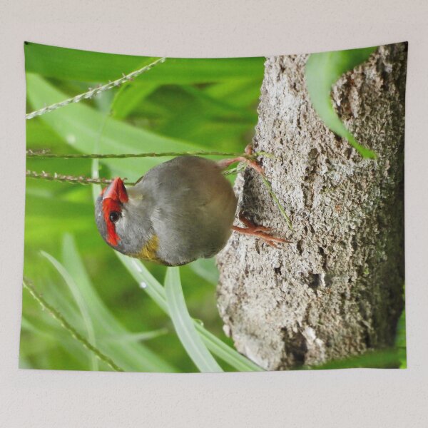 Item preview, Red Browed Finch  designed and sold by Mark Grimsley.