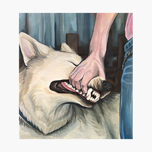 sign crushes motorist - i'll be okay Album Cover