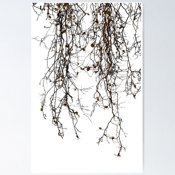 Item preview, Marple tree in winter  designed and sold by ColorandColor.