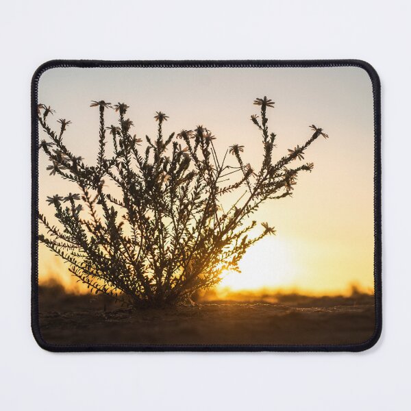Item preview, Kinchega Sunset designed and sold by Candice O'Neill.
