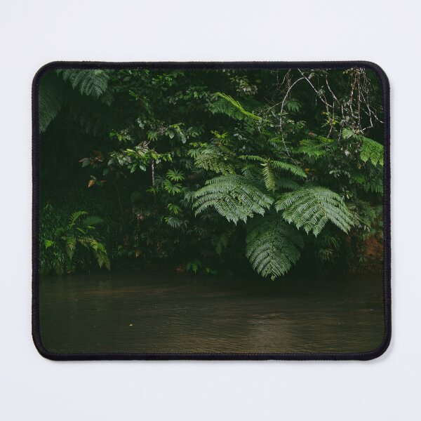 Item preview, Forest ferns designed and sold by Candice O'Neill.