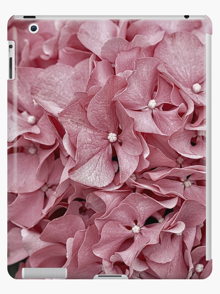 Funda y vinilo para iPad «Hortensia rosada - Flores de color rosa suave -  Imagen de flor rosada apagada» de Rocketman2017 | Redbubble