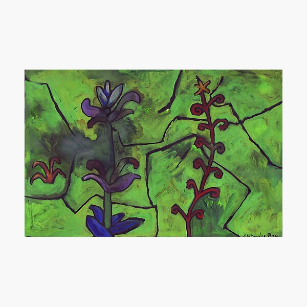 Item preview, Midnight Garden cycle13 6 designed and sold by John Douglas.