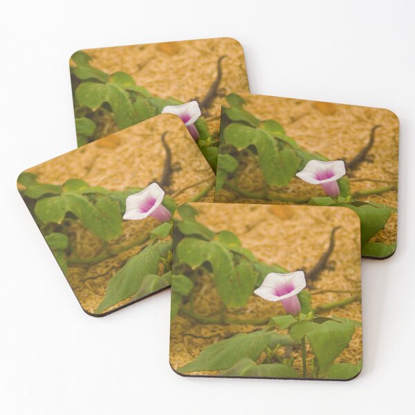 Item preview, blla sweet potato bloom designed and sold by pcfyi.