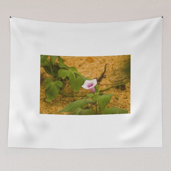 Item preview, blla sweet potato bloom designed and sold by pcfyi.