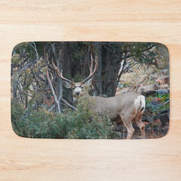 Item preview, Mule deer buck  designed and sold by Saltypro.