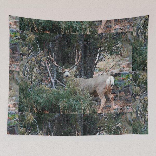 Item preview, Mule deer buck  designed and sold by Saltypro.
