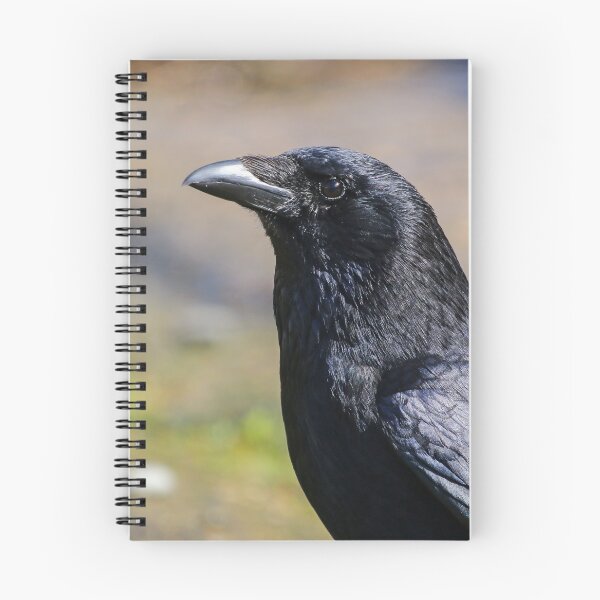 Item preview, Carrion crow designed and sold by GreyFeatherPhot.