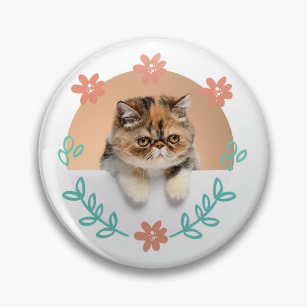 Item preview, Exotic shorthair cat designed and sold by Viviana4997.