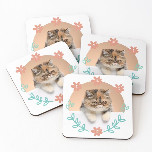 Item preview, Exotic shorthair cat designed and sold by Viviana4997.