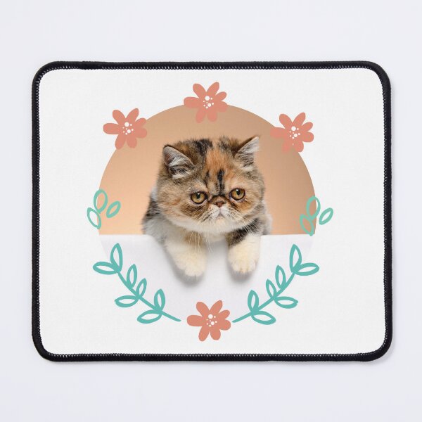 Item preview, Exotic shorthair cat designed and sold by Viviana4997.