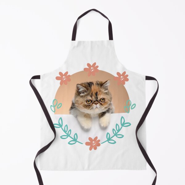 Item preview, Exotic shorthair cat designed and sold by Viviana4997.