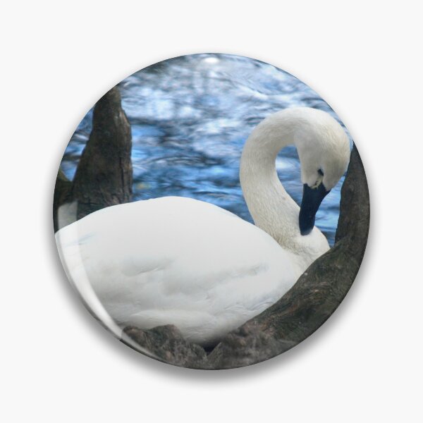 Item preview, Swan At Swan Lake In Sumter, SC  designed and sold by cope64.