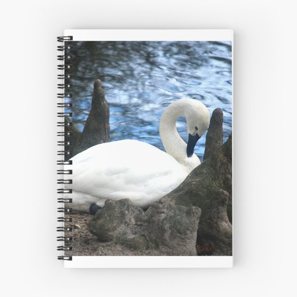 Item preview, Swan At Swan Lake In Sumter, SC  designed and sold by cope64.