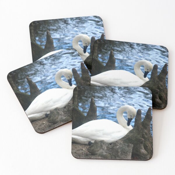 Item preview, Swan At Swan Lake In Sumter, SC  designed and sold by cope64.