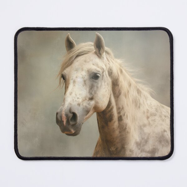 Item preview, Appaloosa Portrait 01 designed and sold by Elisabeth Lucas.