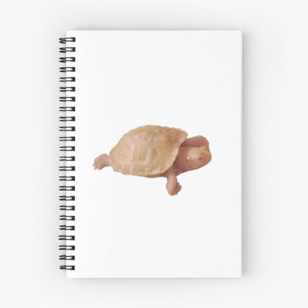 Item preview, Baby Albino Slider Turtle designed and sold by Time4Turtles.