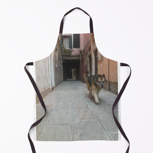 Item preview, Venice , Italy designed and sold by PabloBSanchez.