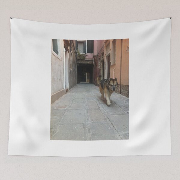 Item preview, Venice , Italy  designed and sold by PabloBSanchez.