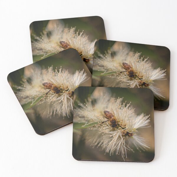 Item preview, Bee in the paperbark designed and sold by Candice O'Neill.