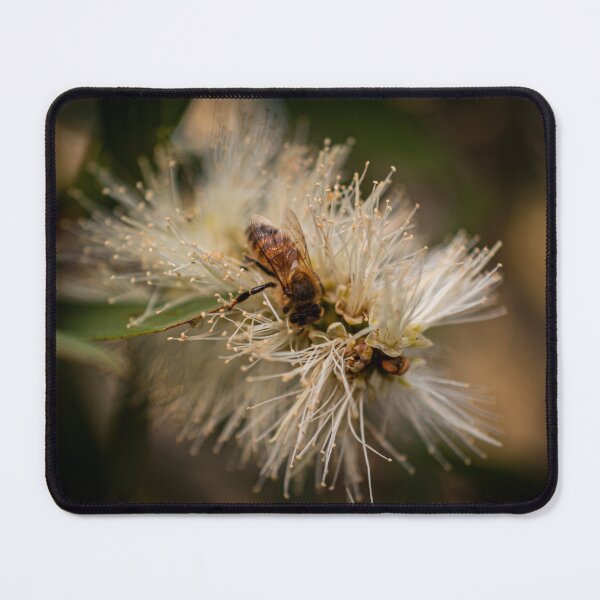 Item preview, Bee in the paperbark designed and sold by Candice O'Neill.
